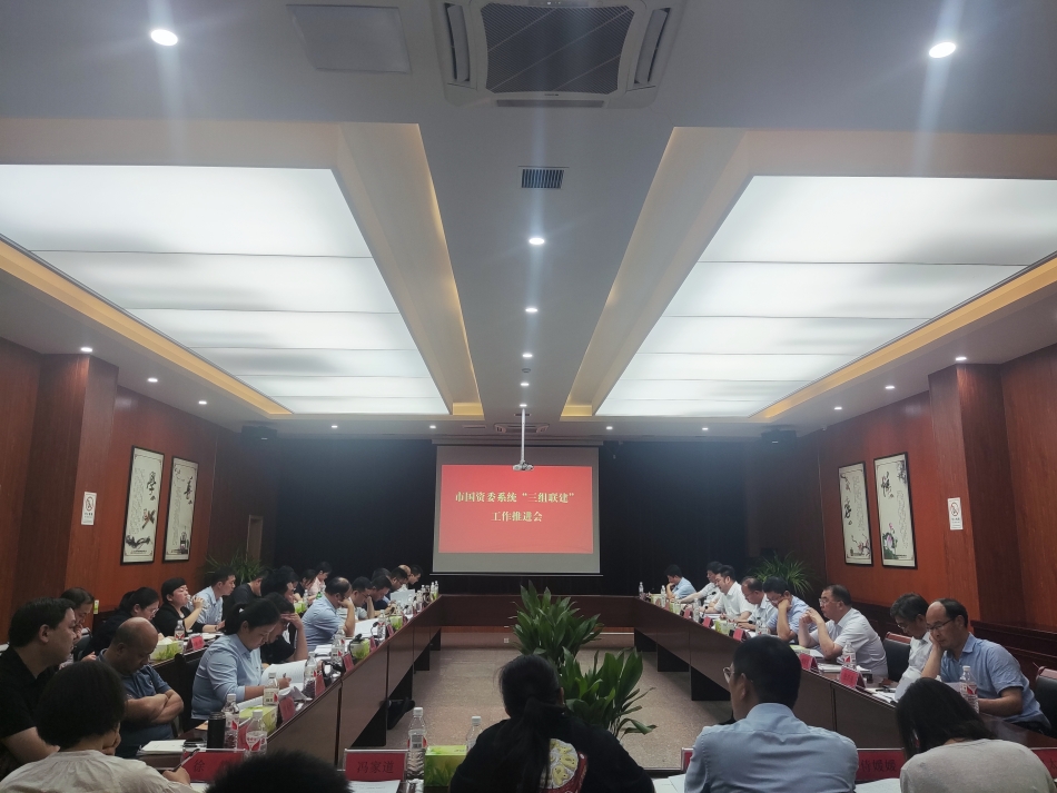 2024年7月17日，市國資委系統(tǒng)在公司開展“三組聯(lián)建”現(xiàn)場觀摩（推進(jìn)會）_副本